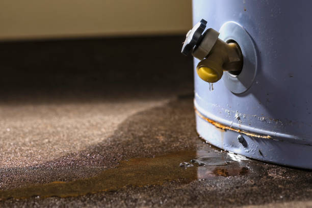 Best Basement water damage restoration  in Pennsburg, PA