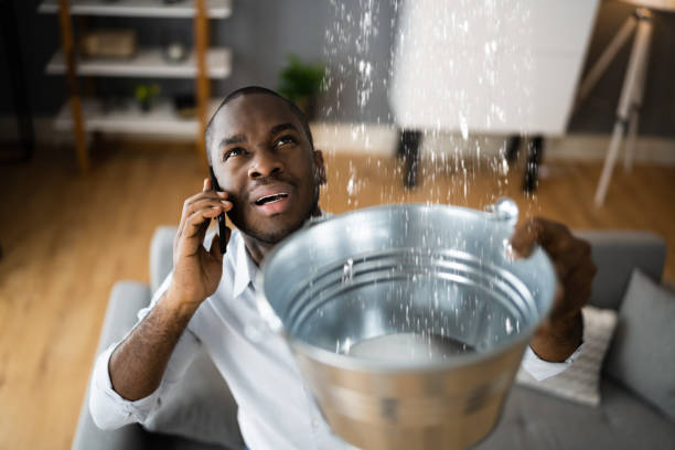 Best Water damage restoration mold remediation  in Pennsburg, PA