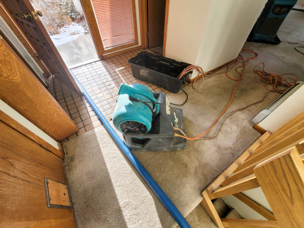 Best Ceiling water damage repair  in Pennsburg, PA