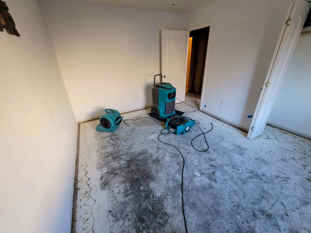 Best Flooded house restoration  in Pennsburg, PA