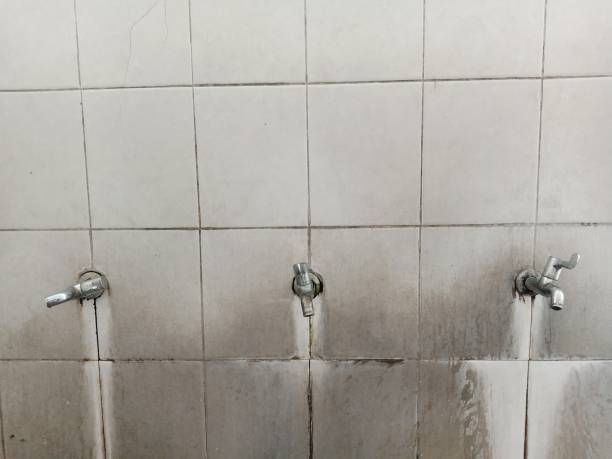 Best Ceiling water damage repair  in Pennsburg, PA