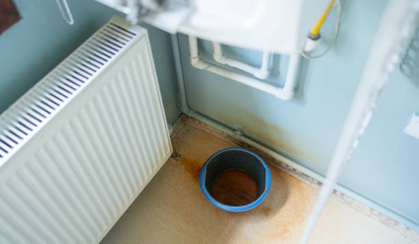 Best Professional water damage repair  in Pennsburg, PA