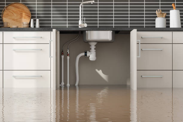 Best Professional water damage repair  in Pennsburg, PA